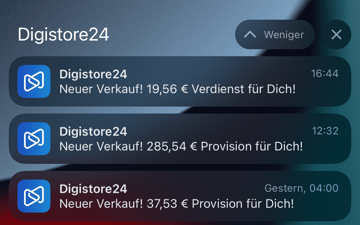 Digistore24 Einnahmen (Webpirat)